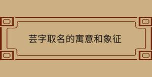 芸名字意思|芸字取名的寓意